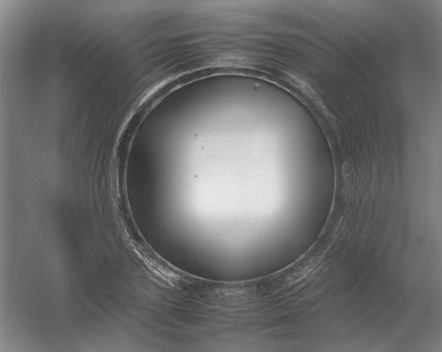 X0000054410931200508192027