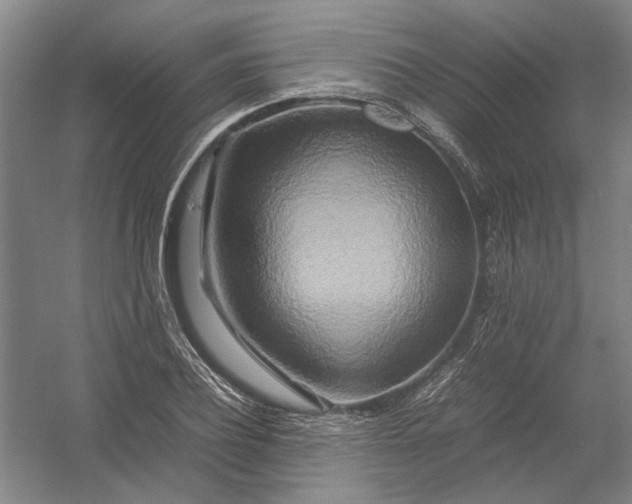X0000054410932200508192027