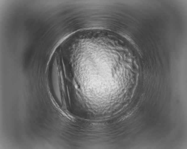 X0000054410933200508192027