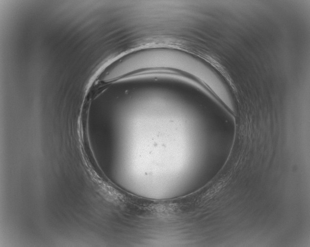 X0000054410936200508192027