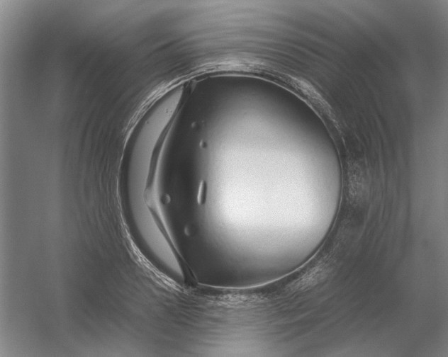 X0000054410938200508192027