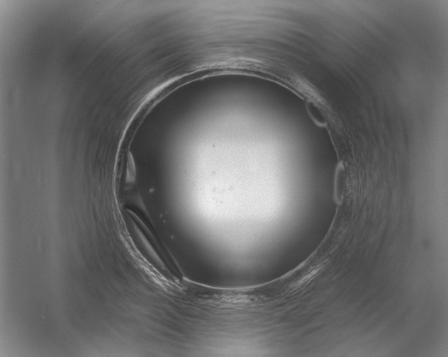 X0000054410940200508192027