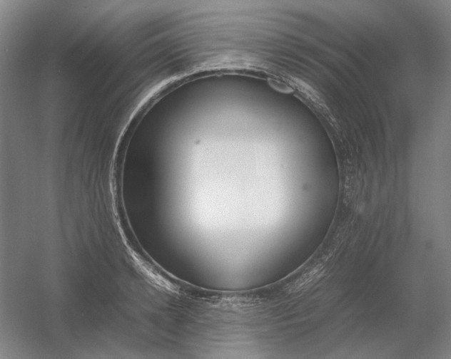 X0000054410942200508192027