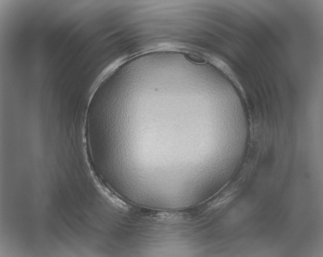 X0000054410954200508192028