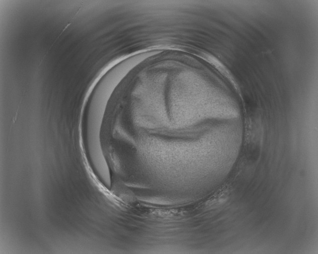 X0000054410955200508192028