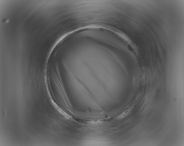 X0000054410958200508192028