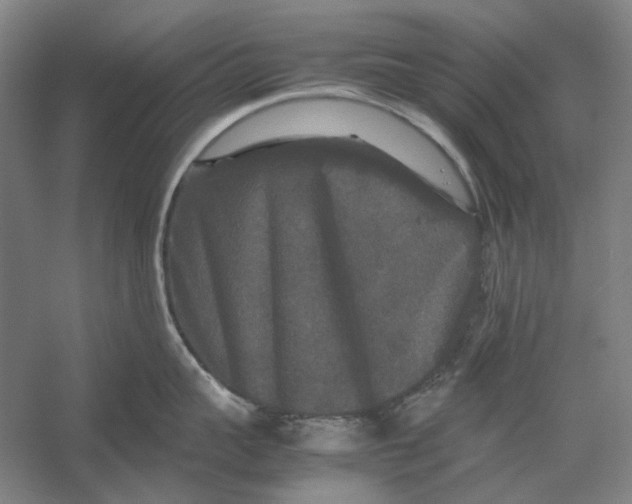 X0000054410959200508192028