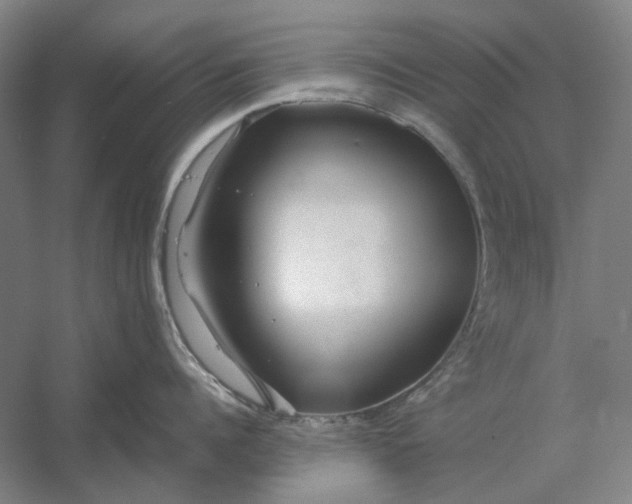 X0000054410960200508192028