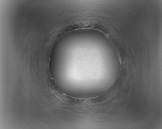 X0000054410961200508192027