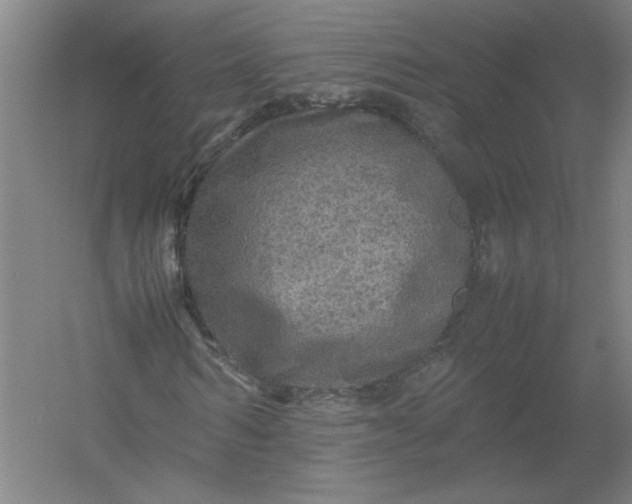 X0000054410962200508192027