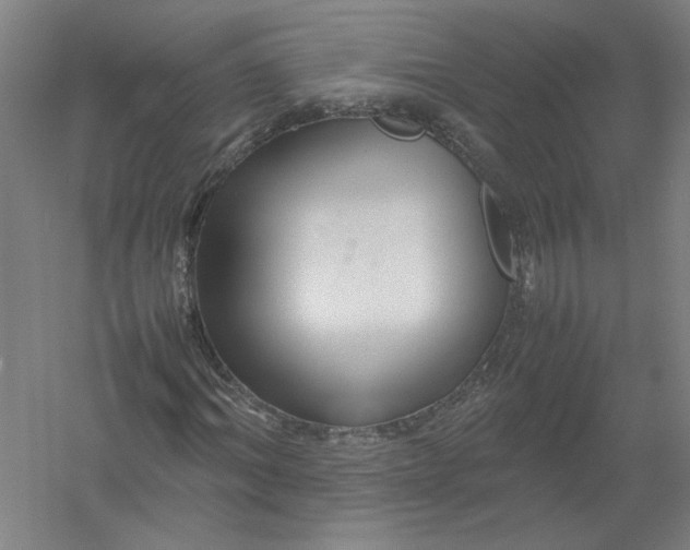 X0000054410964200508192027