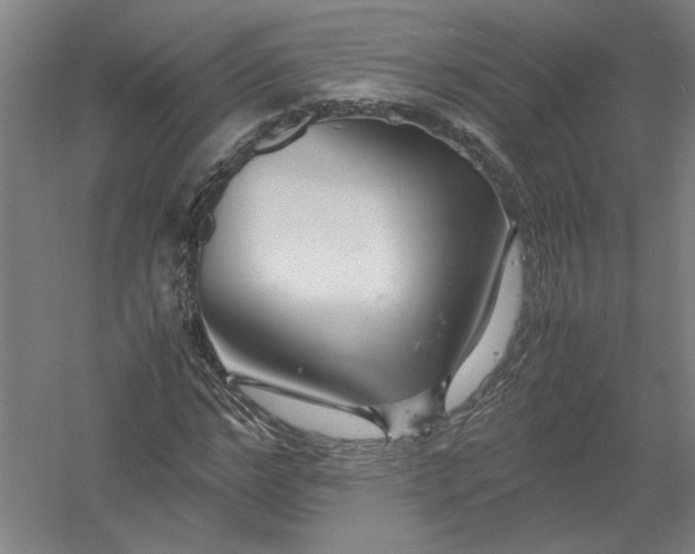 X0000054410968200508192027