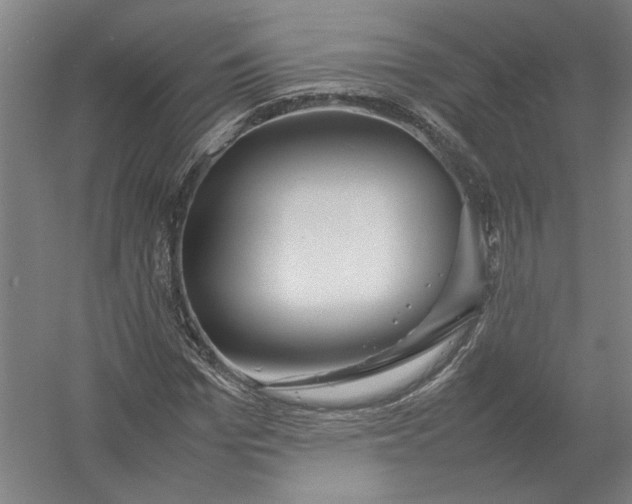 X0000054410969200508192027