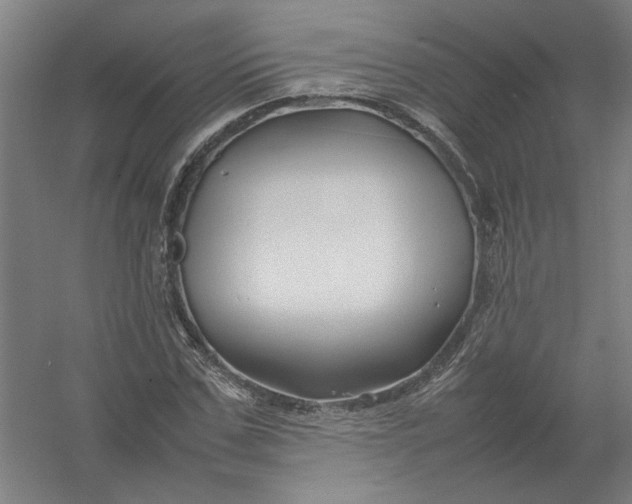 X0000054410971200508192027