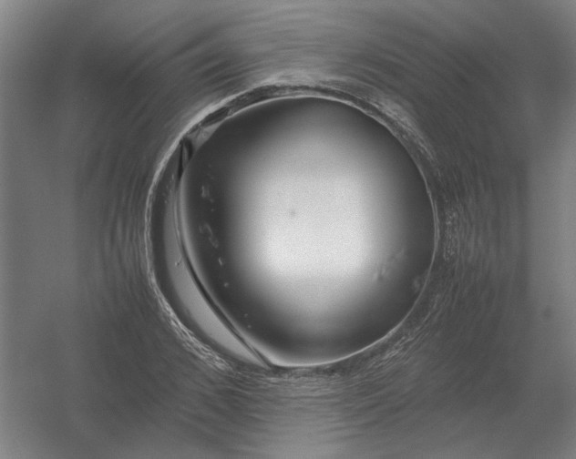 X0000054410976200508192027