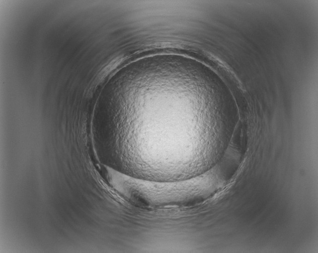 X0000054410977200508192027
