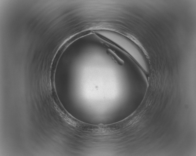 X0000054410980200508192027