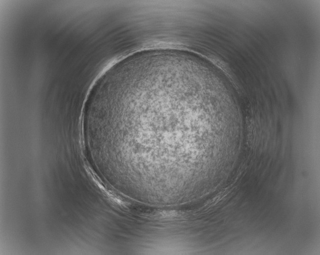 X0000054410982200508192027