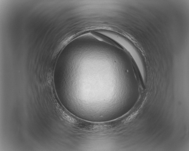 X0000054410985200508192026