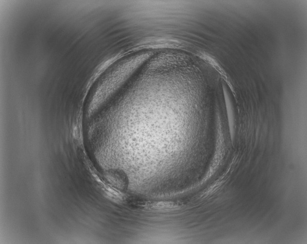X0000054410986200508192026