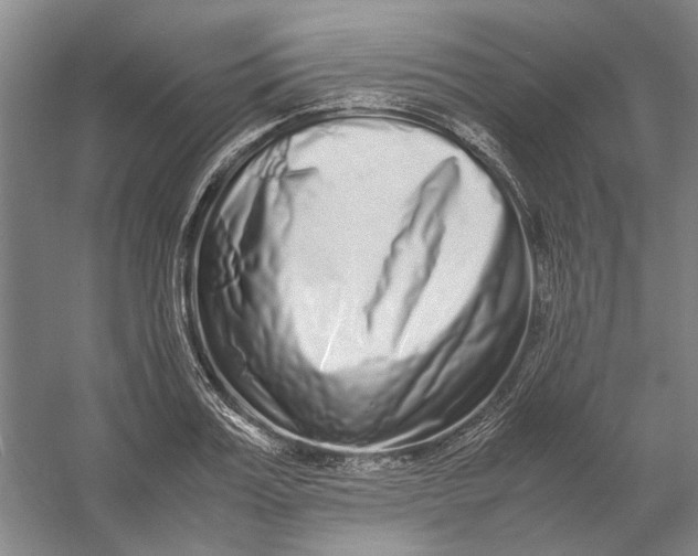 X0000054410987200508192026
