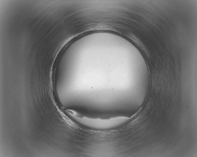 X0000054410988200508192026