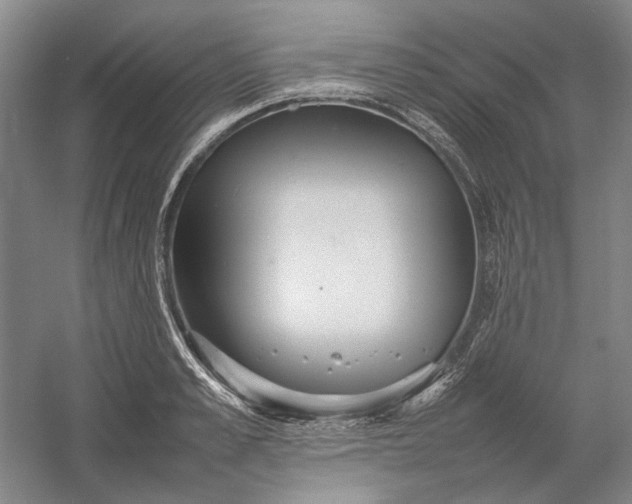 X0000054410989200508192026