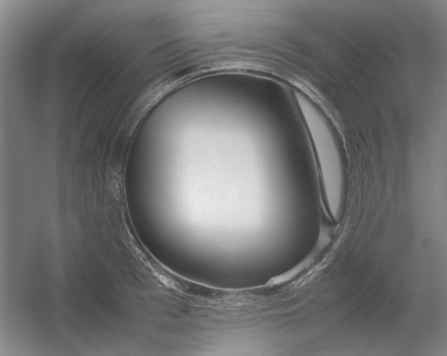 X0000054410993200508192026