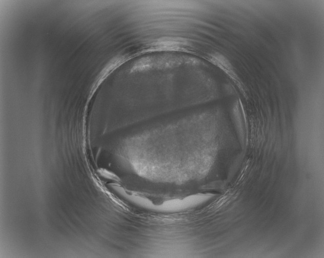 X0000054410994200508192026