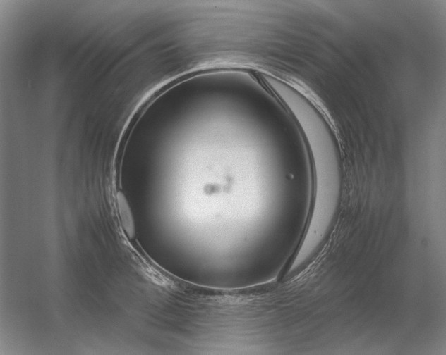 X0000054410996200508192026