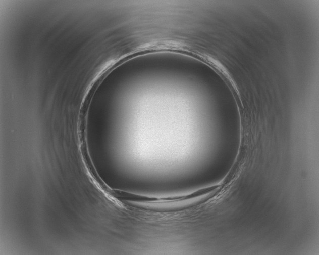 X0000054410997200508192026