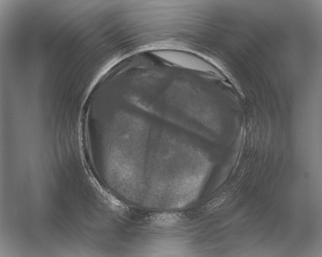 X0000054410998200508192026