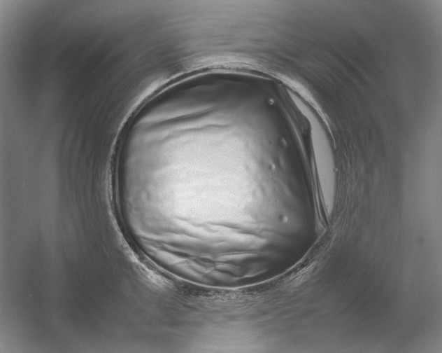 X0000054410999200508192026