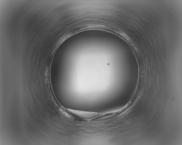 X0000054411001200508192026