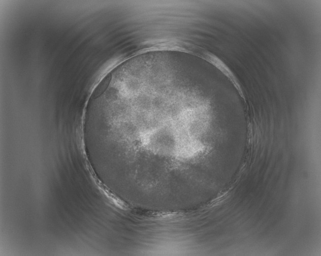 X0000054411002200508192026