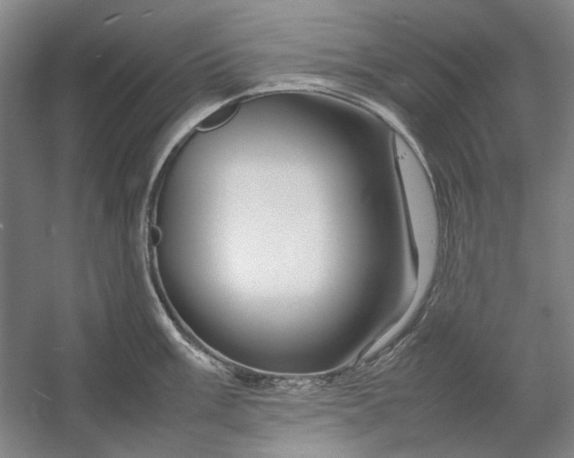 X0000054411003200508192026