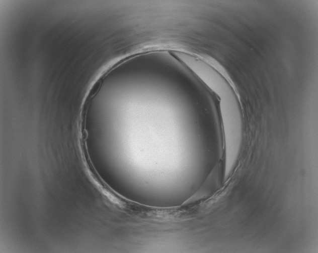 X0000054411005200508192026