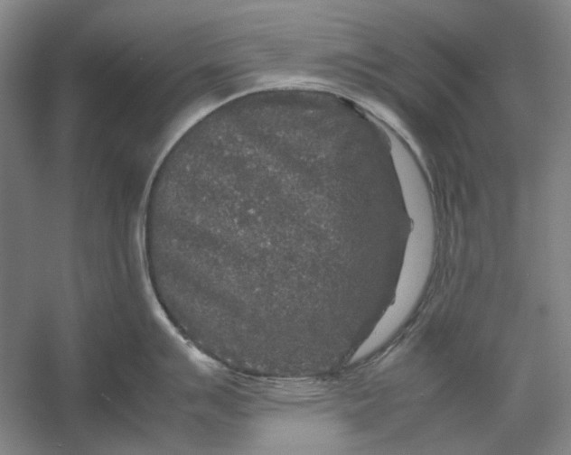 X0000054411007200508192026