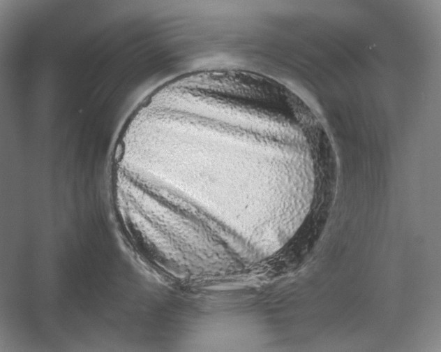 X0000054411008200508192026