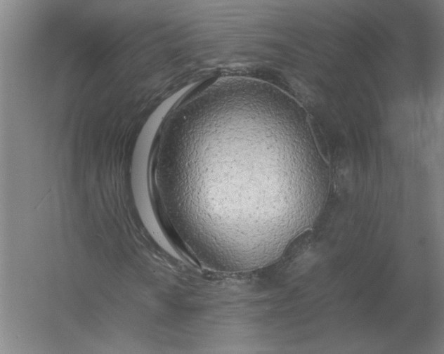 X0000054411010200508192025