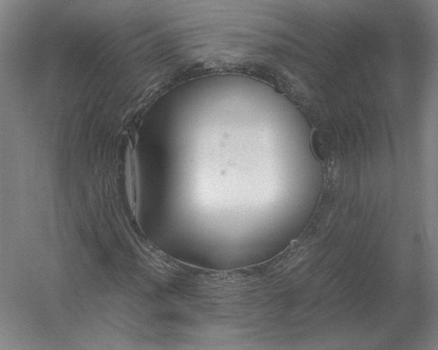 X0000054411012200508192025