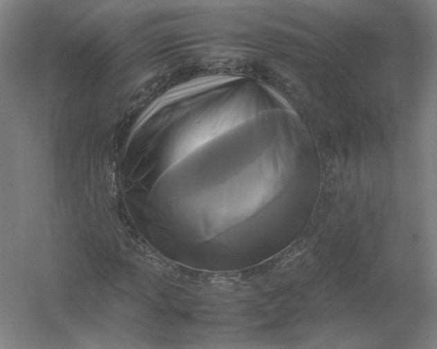 X0000054411013200508192025