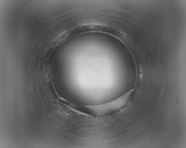 X0000054411014200508192025