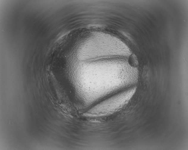 X0000054411015200508192025