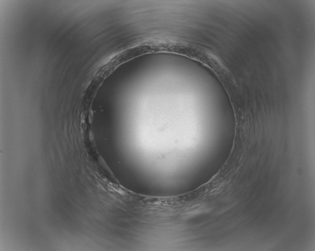 X0000054411016200508192025