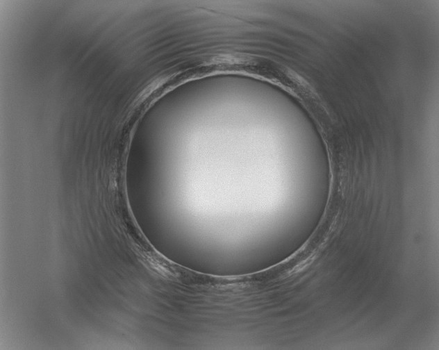X0000054411017200508192025