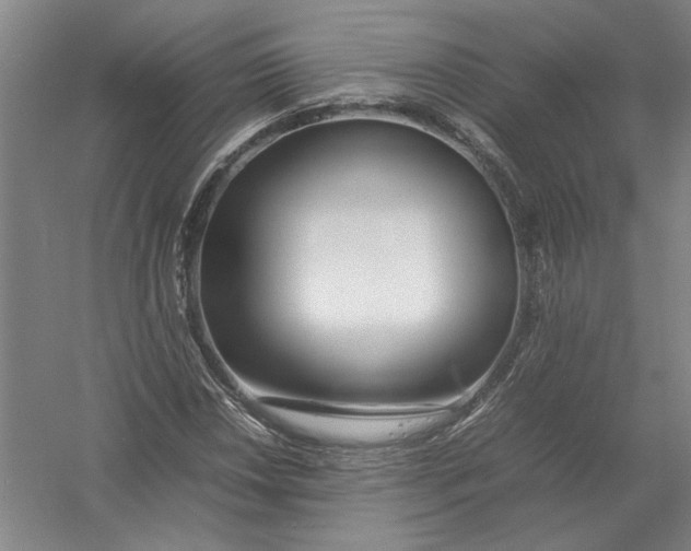 X0000054411018200508192025