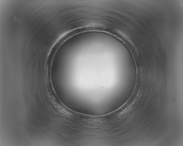 X0000054411021200508192025