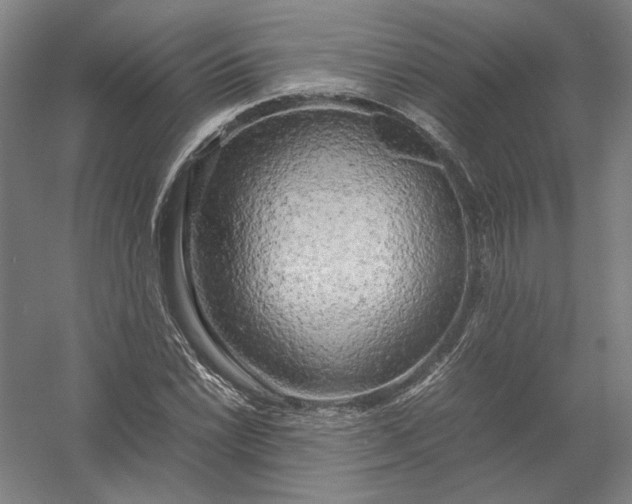 X0000054411022200508192025
