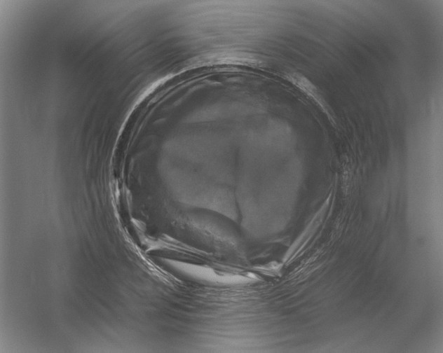 X0000054411024200508192025